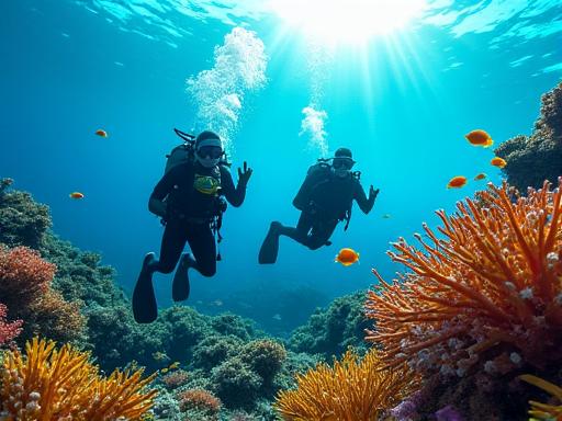 Ocean diving adventure exploration